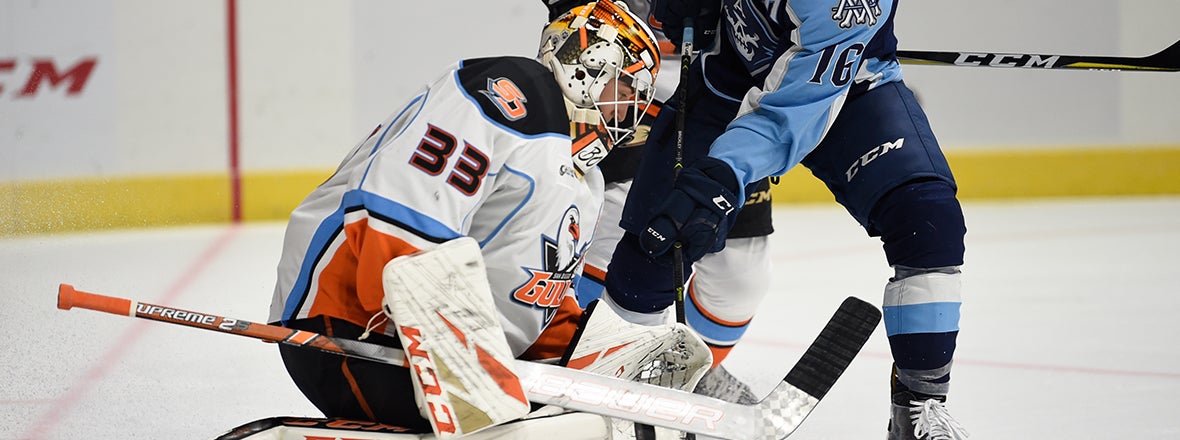 PREVIEW: Gulls at Admirals