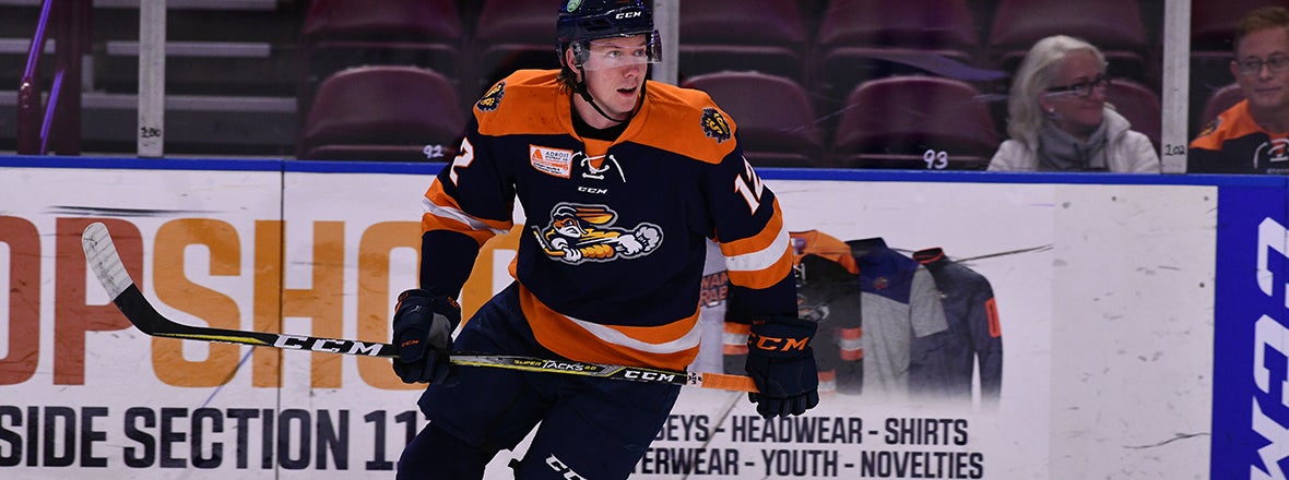 Gulls Sign Right Wing May to PTO