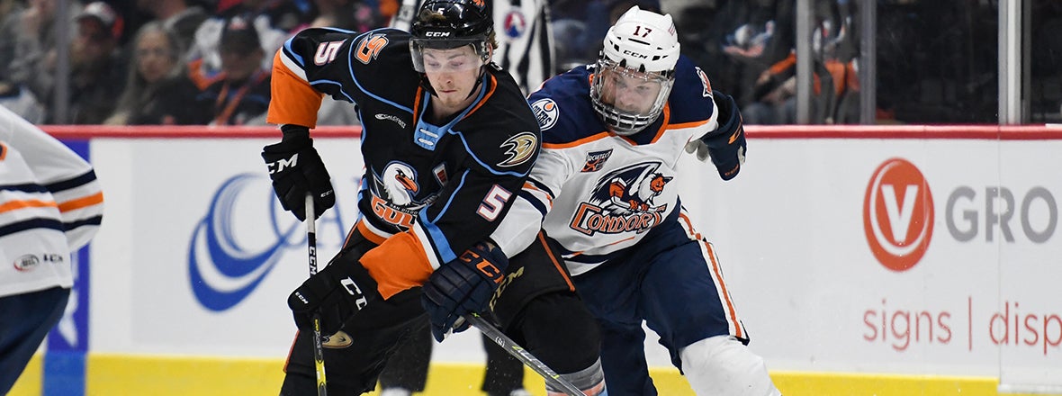 PREVIEW: Gulls at Condors